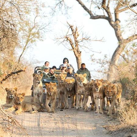 Willa Royal Malewane Thornybush Game Reserve Zewnętrze zdjęcie