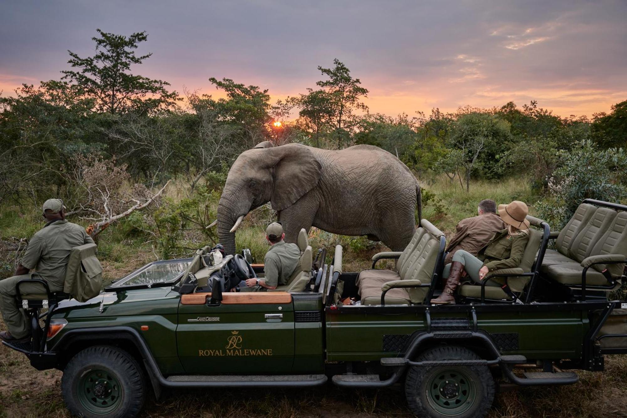 Willa Royal Malewane Thornybush Game Reserve Zewnętrze zdjęcie